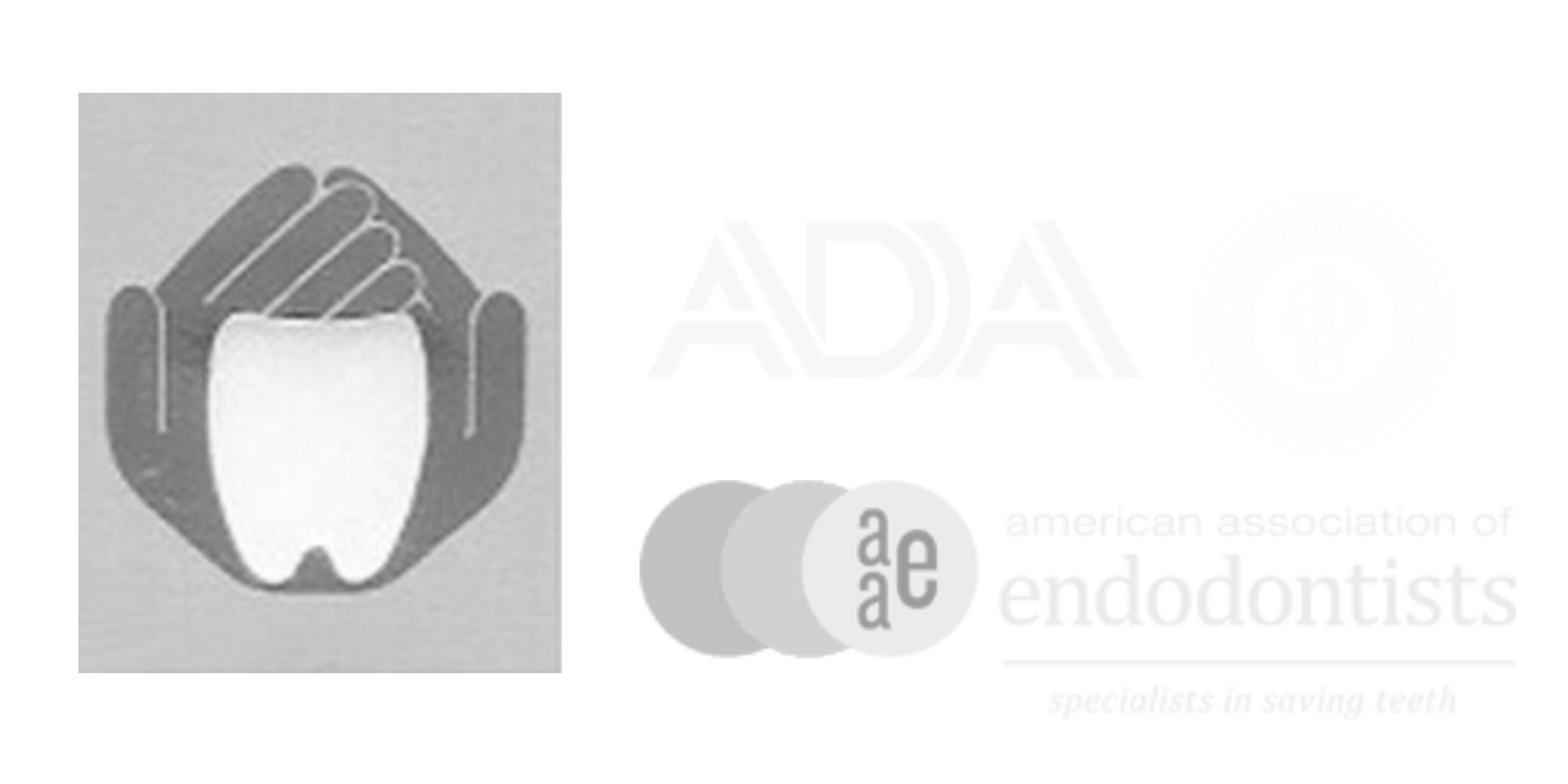 Forest Ave Endo Footer Logo